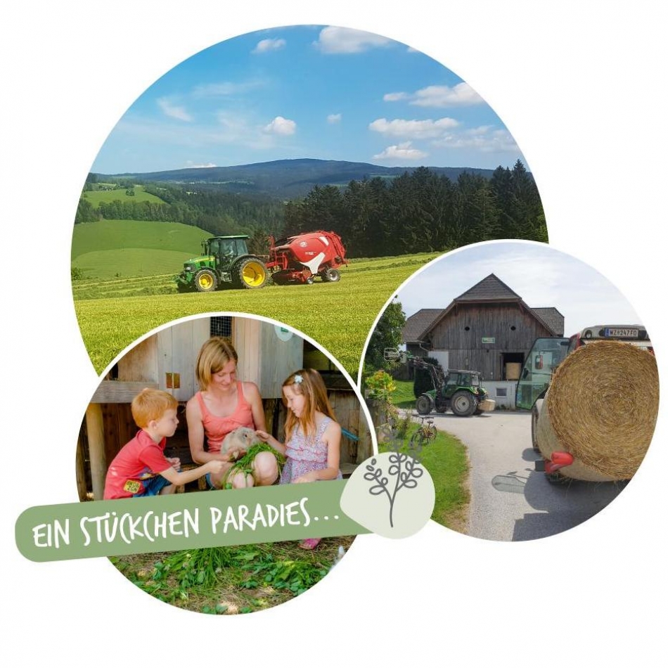 Landwirtschaft am Ebnerhof