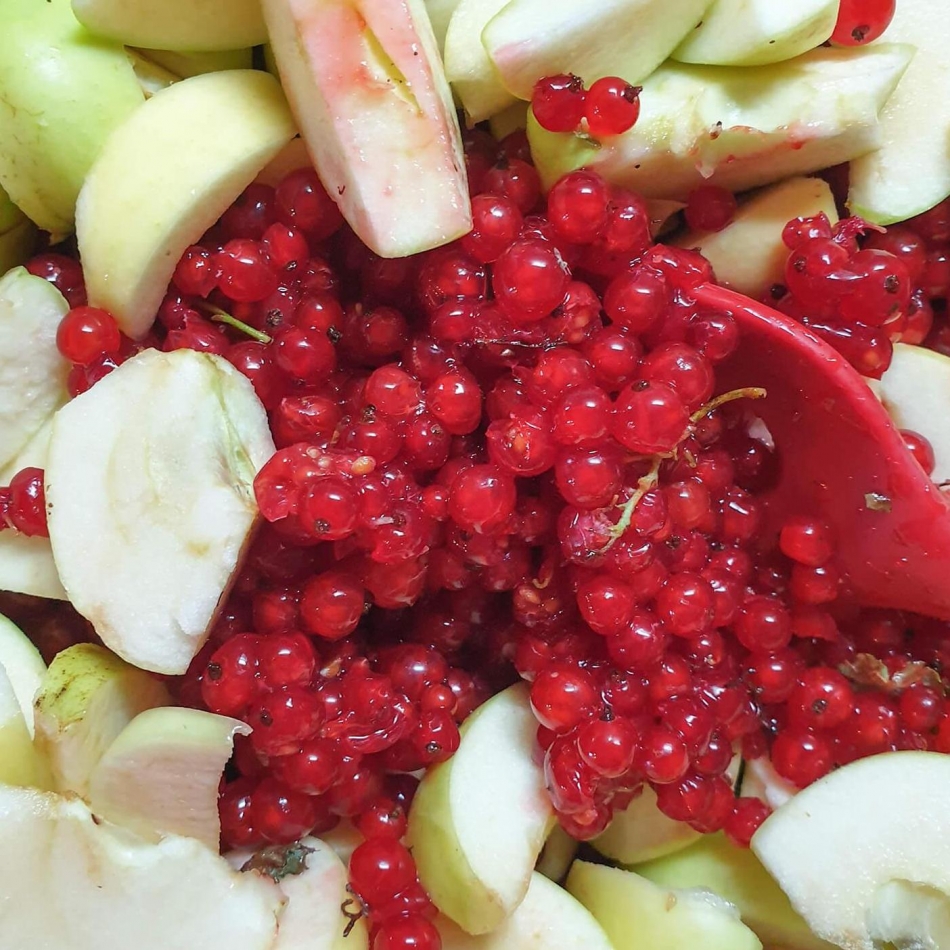 Ribisel Apfel - Marmelade im Entstehen