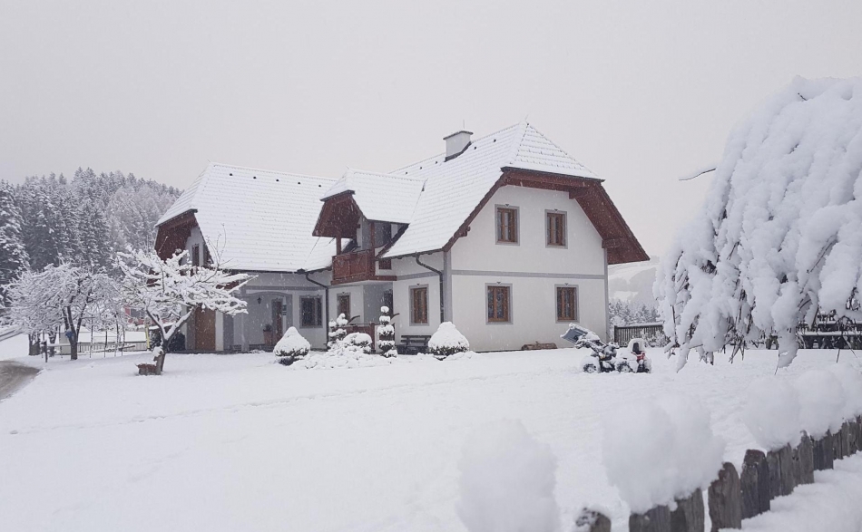 Winter am Bauernhof Ebner in der Steiermark